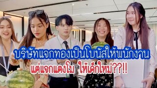 บริษัทแจกทองเป็นโบนัสให้พนักงาน แต่แจกแตงโมให้เด็กใหม่??!!!