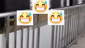 Satu cabang pohon di metro 666