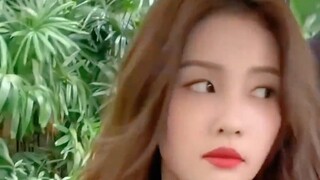 白鹿