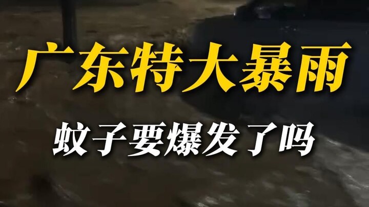 Guangdong’s Massive Rainstorm: Is a Mosquito Infestation About to Erupt?