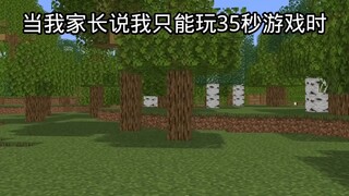 我的世界