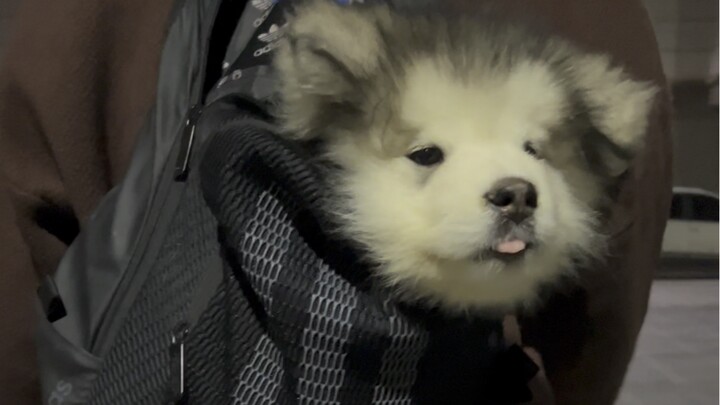 You silly goofball, our story is just getting started!