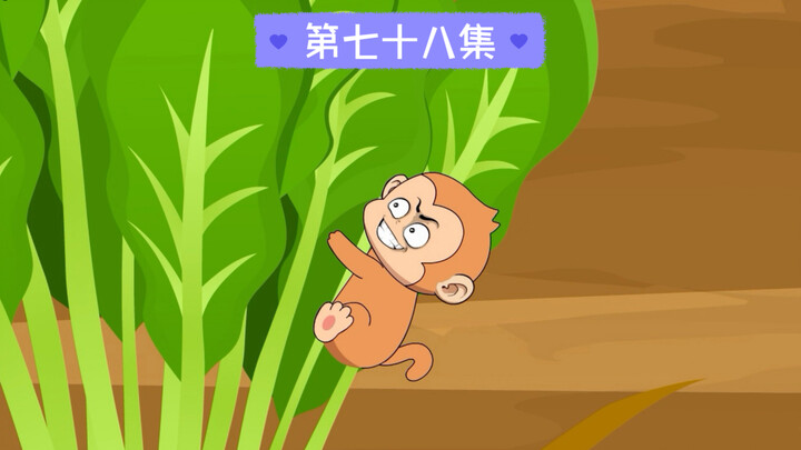 雌狼身体有所好转，我帮它把肚子里的腹水全给抽了出来