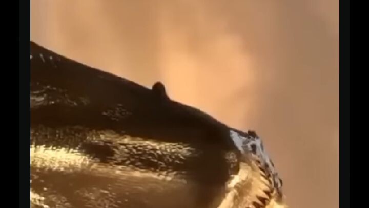 ครุฑ??