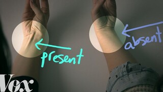 Fun Fact: What "evolutionary" features have you inherited from your body?