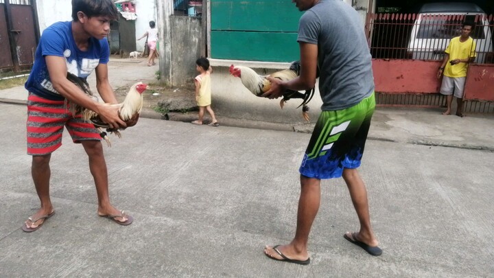 Break muna Pa tibayan ng palo