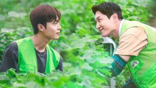 Love Tractor|Episode 6 English Sub|Best Korean BL