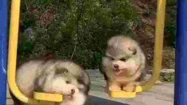 เอ็นดู๊ ๆๆๆๆ น้อนนน 😄