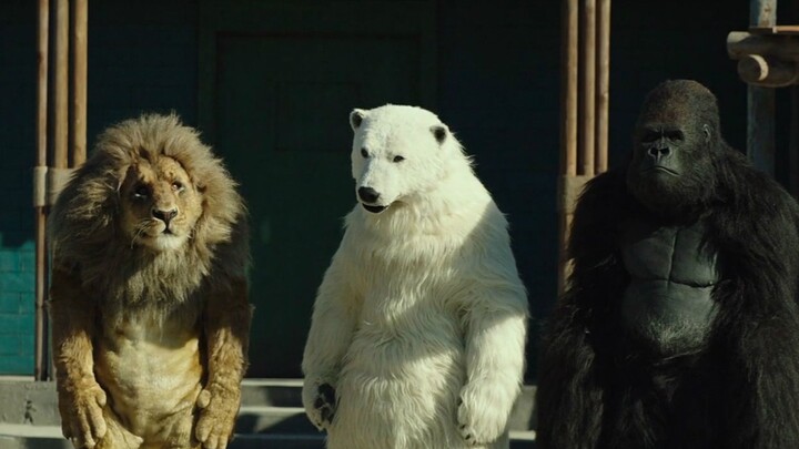 Sở thú không còn động vật, nhân viên đành tự hóa trang thành thú để đánh lừa du khách – Một bộ phim 