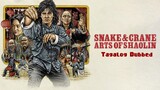 Snake and Crane Arts of Shaolin (Tagalog Dubbed) Full Movie