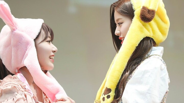 【Yuan Ying】【Jang Won Young x Miyawaki Sakura】Sekarang masih agak ambigu