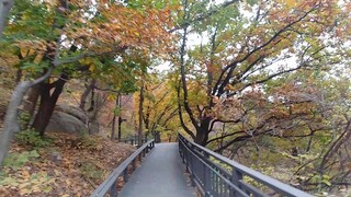 Autumn Foliage 2019 (Mt. Baebong, Seoul Korea)
