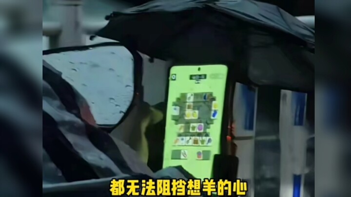 When Shandong folks say they’ll do something, they really mean it!