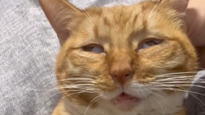 孩子睡相太差了怎么办