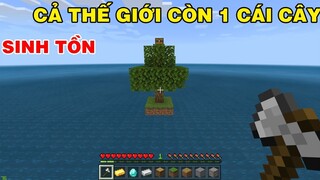 Cả Thế Giới Còn Mỗi Cái Cây || THỬ THÁCH 24 GIỜ SINH TỒN TRONG THẾ GIỚI CÒN 1 CÁI CÂY MINECRAFT