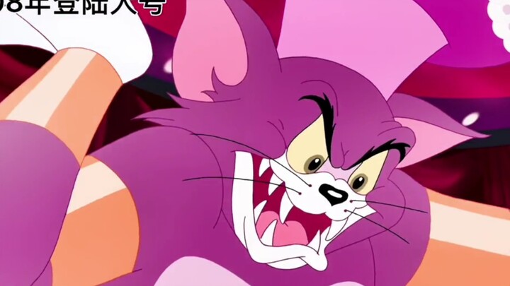 汤姆开的几个大号，谁最厉害