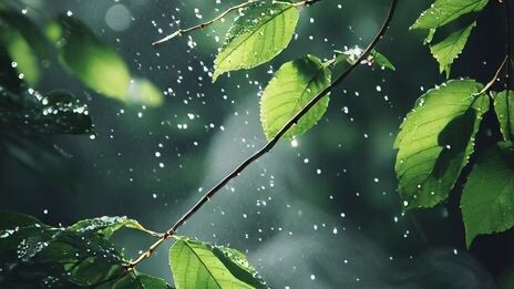 Do you like rainy days?