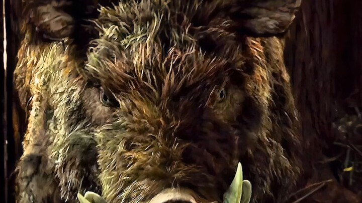 Watch the Korean thriller "Man-eating Pig" in one go