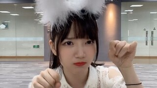 Con thỏ mất tích của ai?