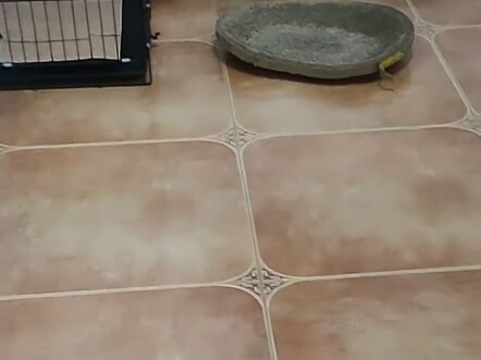 Its place is almost bigger than my whole room… So heartbreaking!