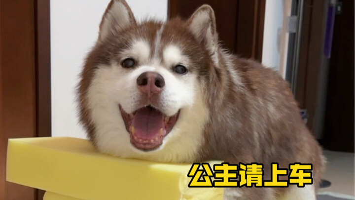 มุมมองการใช้จ่ายของราศีพฤษภ: ซื้อของแพงได้ แต่ต้องไม่ “แพงเกินไป”...