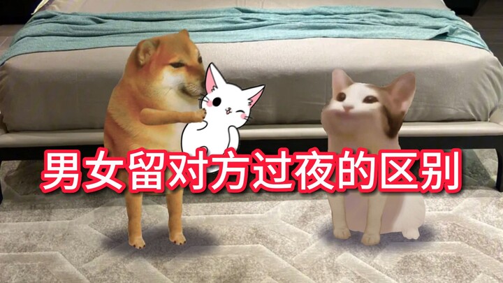 แมวของฉันสามารถทำท่าแบ็คฟลิปได้