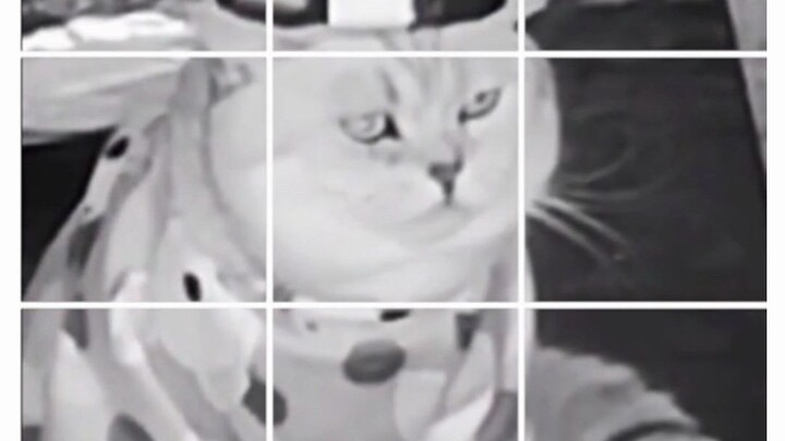 Cat: You two better have something going on.