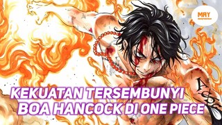 KEKUATAN TERSEMBUNYI DI ONE PIECE !