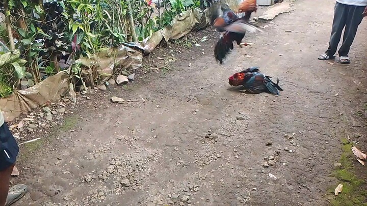 exercise mga heavy weight