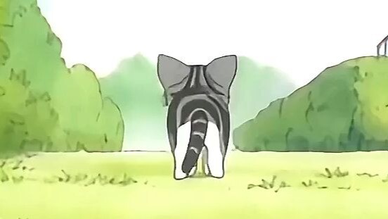 Kucing berjalan dengan catwalk seksi: Aku ingin pulang!