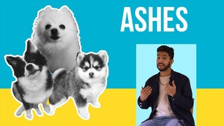 Ashes but Dogs Sung It (Doggos and Gabe)
