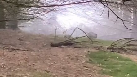 Kamu tahu banget apa yang cowok suka tonton!