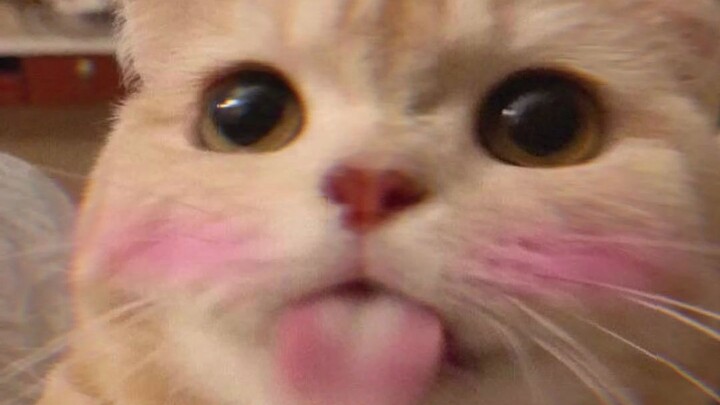 Anh chàng này chơi quả là màu mè nhỉ!