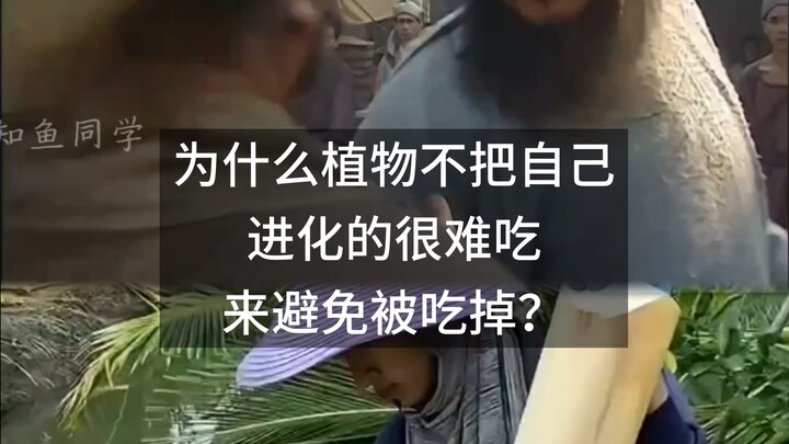 ทำไมพืชไม่วิวัฒนาการให้ตัวเองมีรสชาติที่ขมหรือไม่อร่อย เพื่อหลีกเลี่ยงการถูกกินล่ะ?