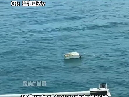 This captain is not only handsome but also super responsible!