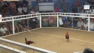 5k sweater in action 3 hits ulutan