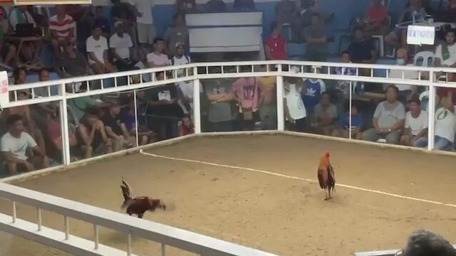 5k sweater in action 3 hits ulutan