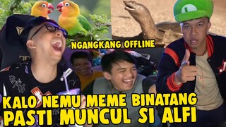 SETIAP ADA MEME BINATANG PASTI ADA MUKANYA ALFI !! - NGANGKANG OFFLINE