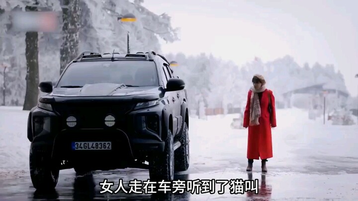 Goodness is rewarded by heaven—Cinderella rescues a stray cat on the roadside and catches the eye of