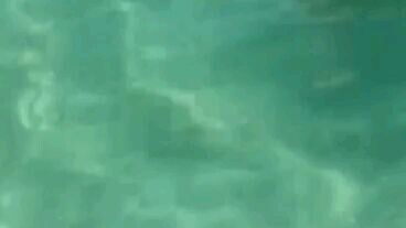 beautiful girl is sexy hot 😍