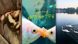 我们在另一个宇宙💗