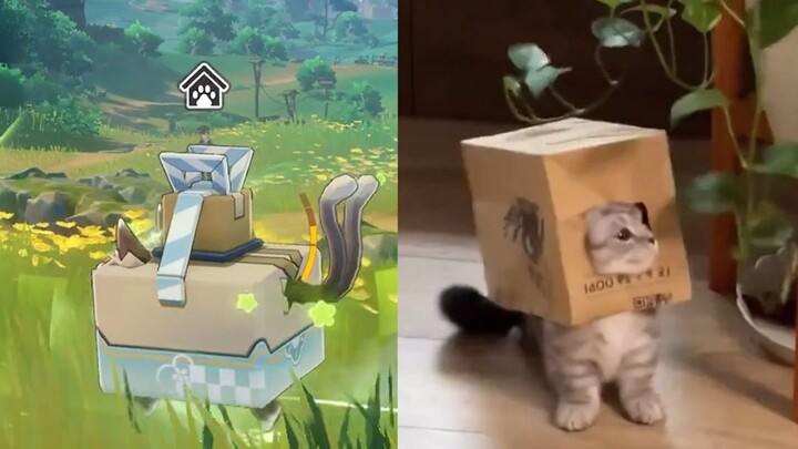 กล่องแมว Qiliangliang เวอร์ชั่นสมจริง
