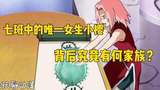 七班中的唯一女生小樱，背后究竟有何家族？