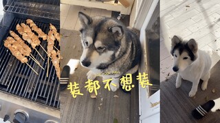 你的目的性能不能别这么明显 😭