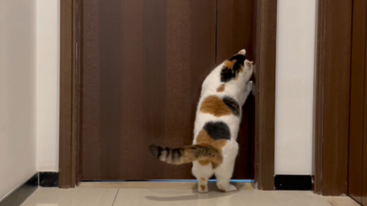 Bộ đồ vệ sinh của tôi không có ranh giới!