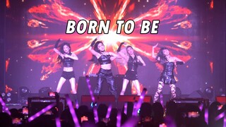 KpopFm grandson group BORN TO BE-ITZY dance cover