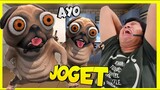 ANJINGNYA JUAN SANGAT COMEL KARENA BISA JOGET2 & GENDUT WKWK!! Talking Doge [INDO] -Ngakak Sangat!