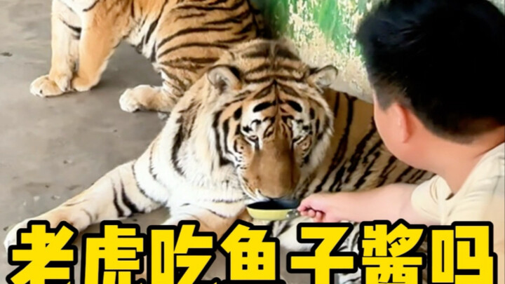 Lain kali langsung kasih kartu gaji aja.