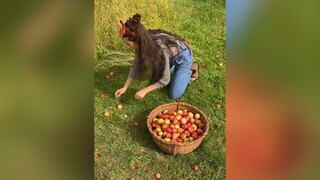 Using freshly picked apples shaken down from the tree, we’ll juice up a big glass of apple juice rig