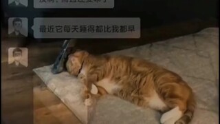 แววตาที่อยากเชือดใครสักคนนั้น ไม่สามารถปิดบังได้เลย